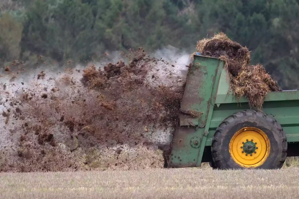 Hnůj nebo humus: co je lepší pro úrodnou půdu