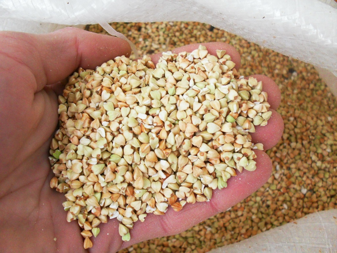 Je čtyřikrát zdravější než běžná pohanka. Podporuje srdce a imunitní systém a snižuje hladinu cholesterolu.