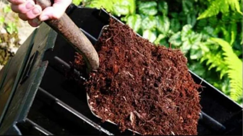 Hnůj nebo humus: co je lepší pro úrodnou půdu