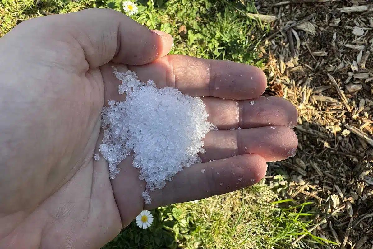 Jak vyrobit velmi (příliš) silný přípravek na hubení plevele ze soli?