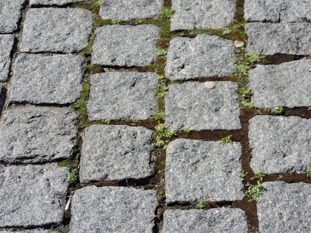 Nastříkejte dlažební kostky. Bude jako nová i bez čištění.